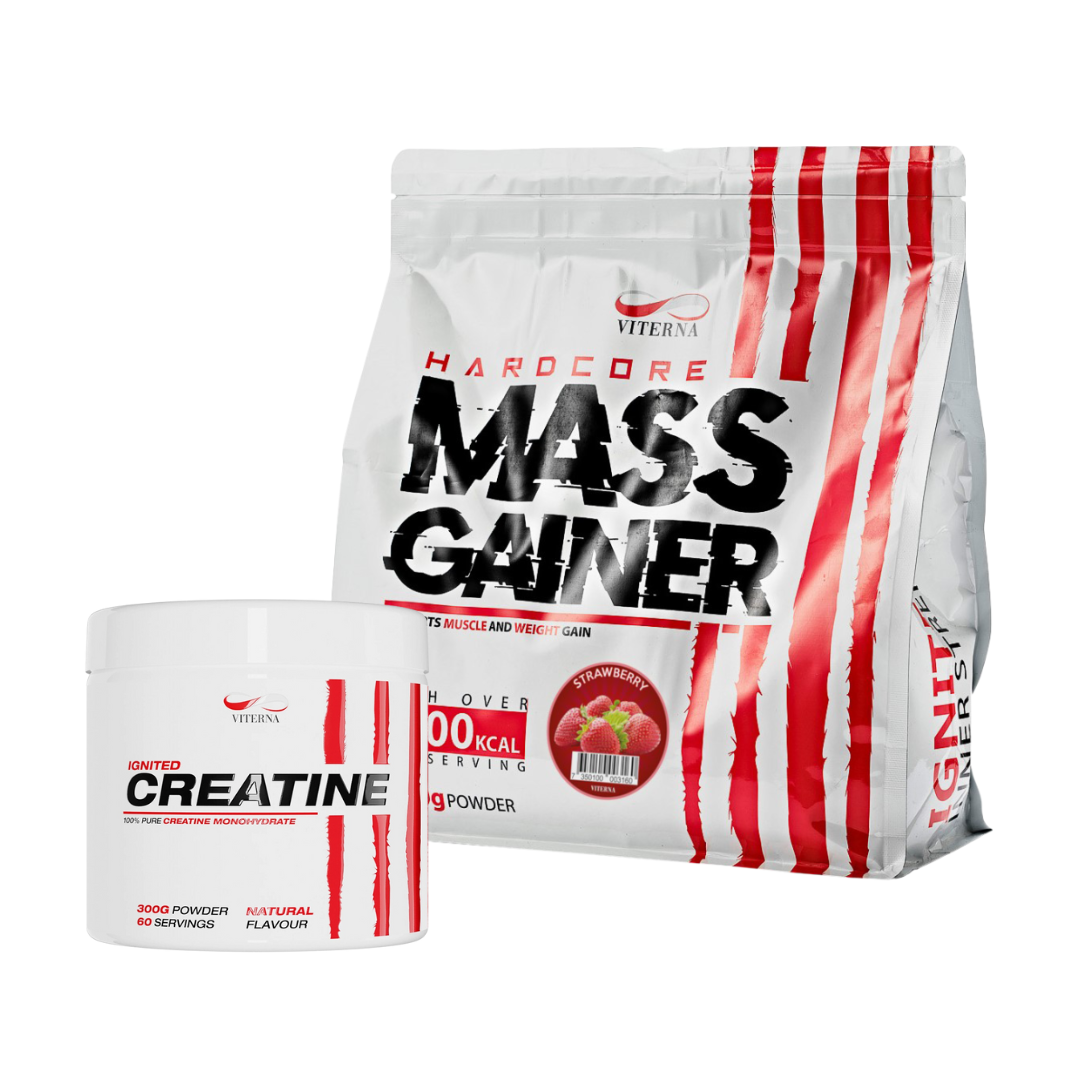Viterna Mass Gainer + Kreatinmonohydrat Small