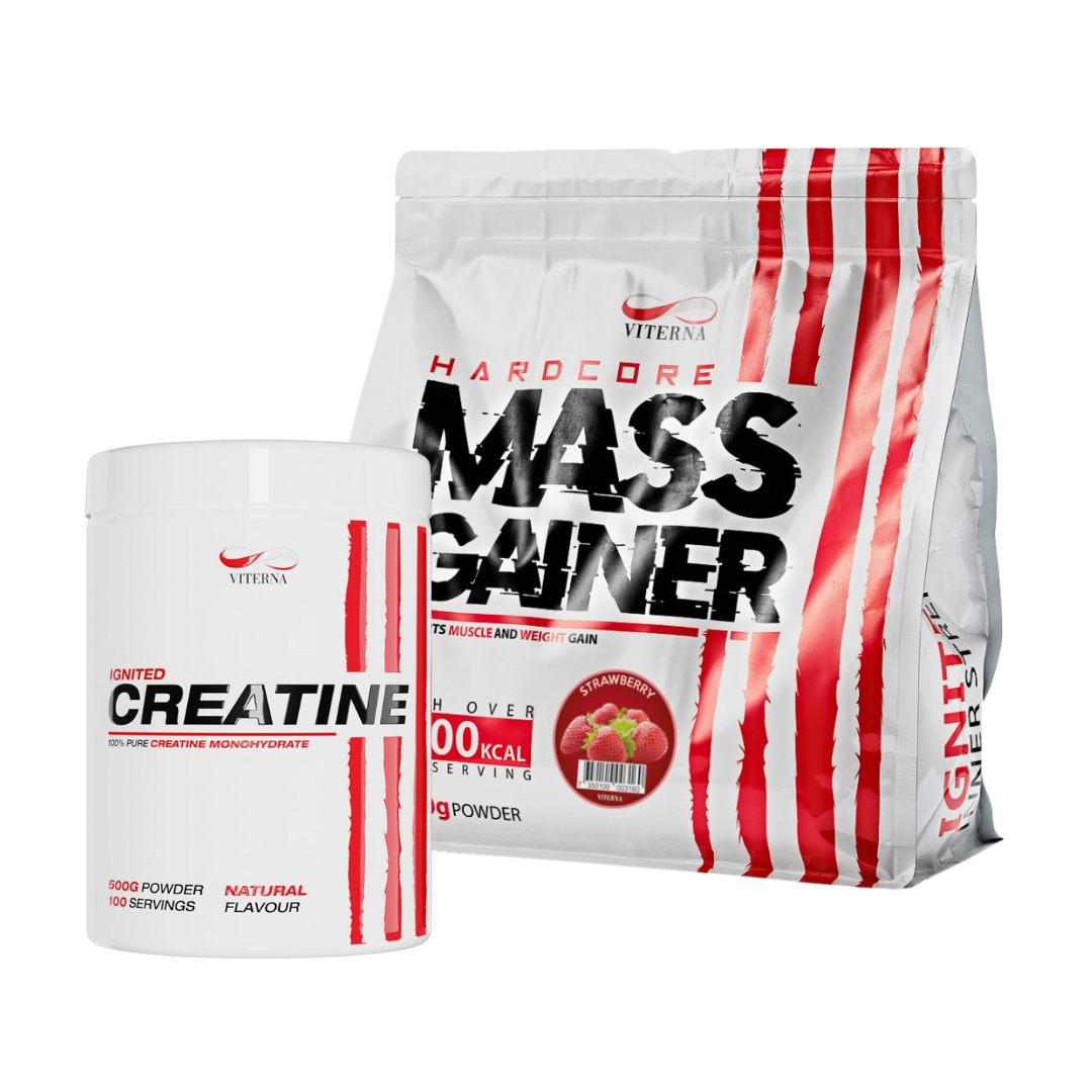 Viterna Mass Gainer + Kreatinmonohydrat Big