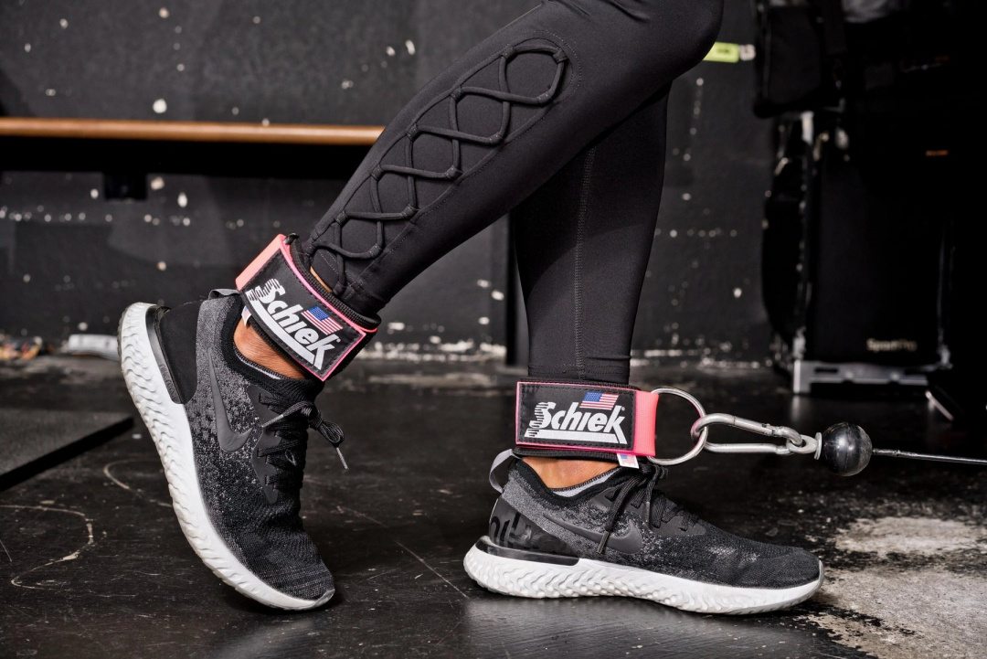 Schiek Ankelremmar Par